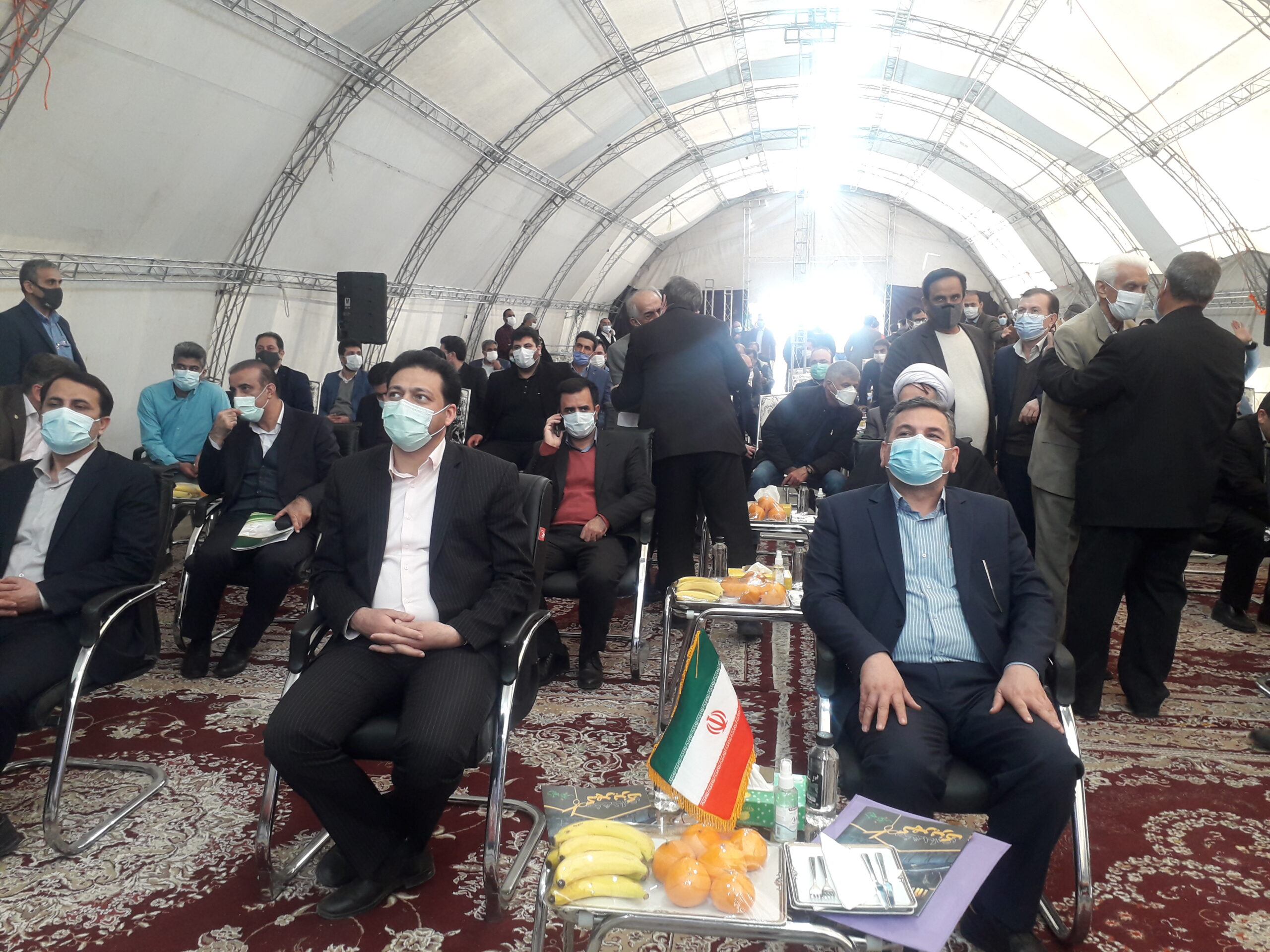 معاون وزیر جهاد کشاورزی:  ۸۵ درصد خوداتکایی کشور در تولید گوشت قرمز/ مشکل تامین نهاده‌های دامی کشور کاملا برطرف شده است