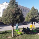 گزارش تصویری| زیباسازی و گلکاری میدان امام حسین(ع) روستای قمصر