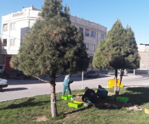 gpj 19 | گزارش تصویری| زیباسازی و گلکاری میدان امام حسین(ع) روستای قمصر