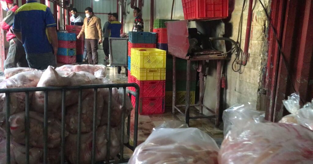4 2 | ۲۴۰۰ کیلو مرغ قطعه بندی شده در باقرشهر کشف و ضبط شد