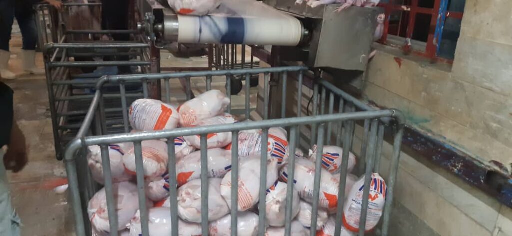 2 12 | توزیع 10 تن مرغ در شهرستان ری