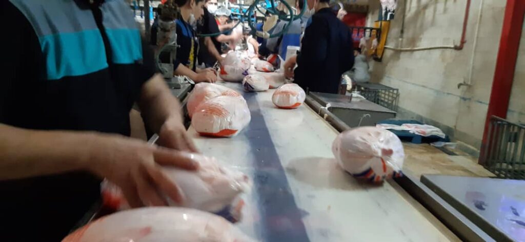 3 11 | توزیع 10 تن مرغ در شهرستان ری