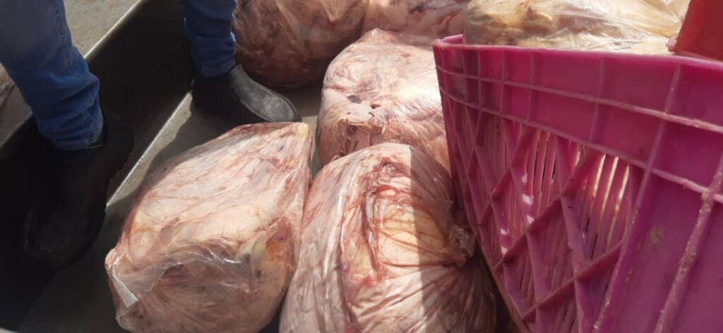 5 5 | بیش از 280 کیلوگرم مرغ فاسد و قطعه بندی شده در باقرشهر کشف شد