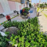 ساماندهی و بهسازی فضاهای سبز در روستای گلحصار