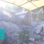 IMG 8768 Copy | گزارش تصویری 1| تخریب ساخت‌وسازهای غیرمجاز در حریم روستای گلحصار