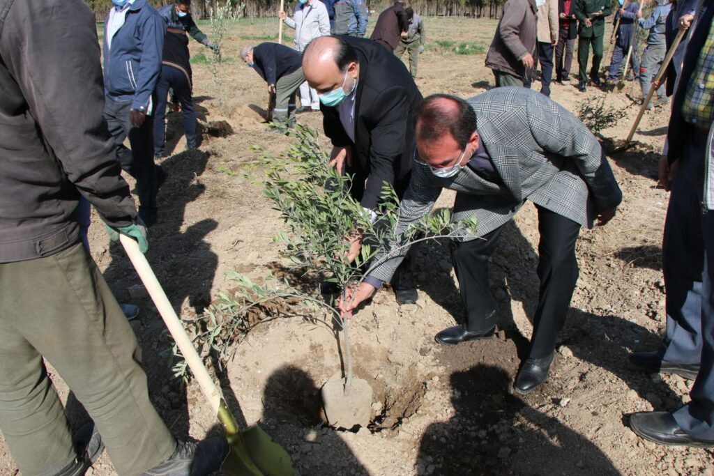 IMG 7180 compress12 | کاشت نهال توسط بخشدار و اعضای شورای تامین بخش کهریزک به مناسبت روز درختکاری