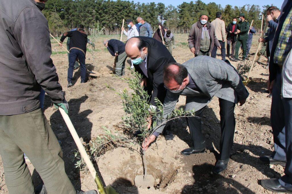 IMG 7181 compress83 | کاشت نهال توسط بخشدار و اعضای شورای تامین بخش کهریزک به مناسبت روز درختکاری