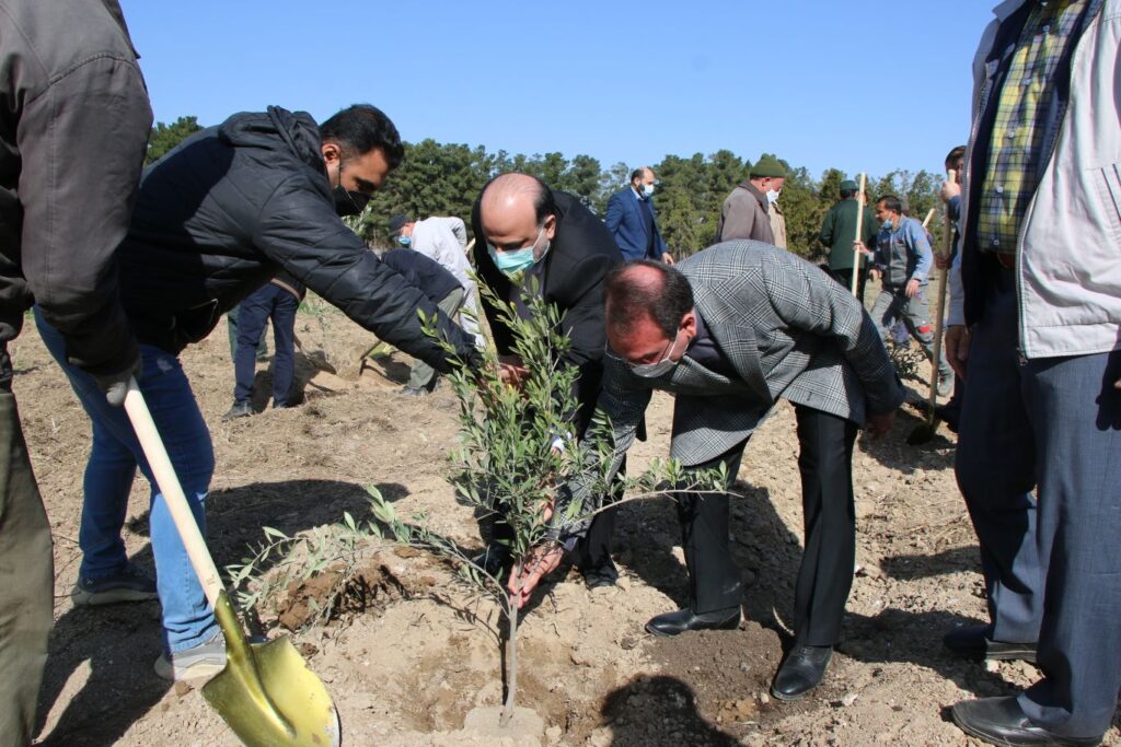 IMG 7182 compress60 | کاشت نهال توسط بخشدار و اعضای شورای تامین بخش کهریزک به مناسبت روز درختکاری