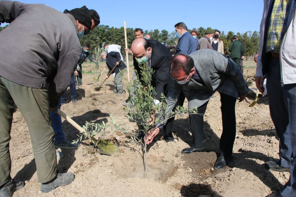 IMG 7183 compress35 | کاشت نهال توسط بخشدار و اعضای شورای تامین بخش کهریزک به مناسبت روز درختکاری