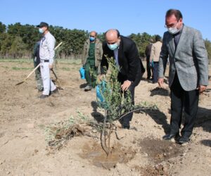 IMG 7187 compress24 | کاشت نهال توسط بخشدار و اعضای شورای تامین بخش کهریزک به مناسبت روز درختکاری