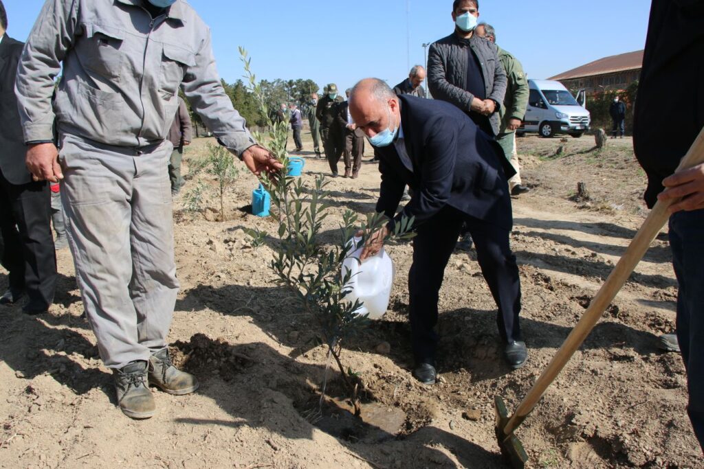 IMG 7189 compress59 | کاشت نهال توسط بخشدار و اعضای شورای تامین بخش کهریزک به مناسبت روز درختکاری