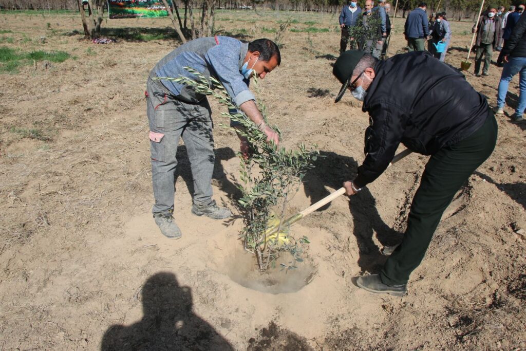 IMG 7193 compress69 | کاشت نهال توسط بخشدار و اعضای شورای تامین بخش کهریزک به مناسبت روز درختکاری