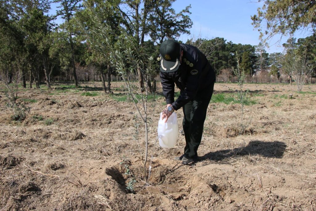 IMG 7200 compress19 | کاشت نهال توسط بخشدار و اعضای شورای تامین بخش کهریزک به مناسبت روز درختکاری