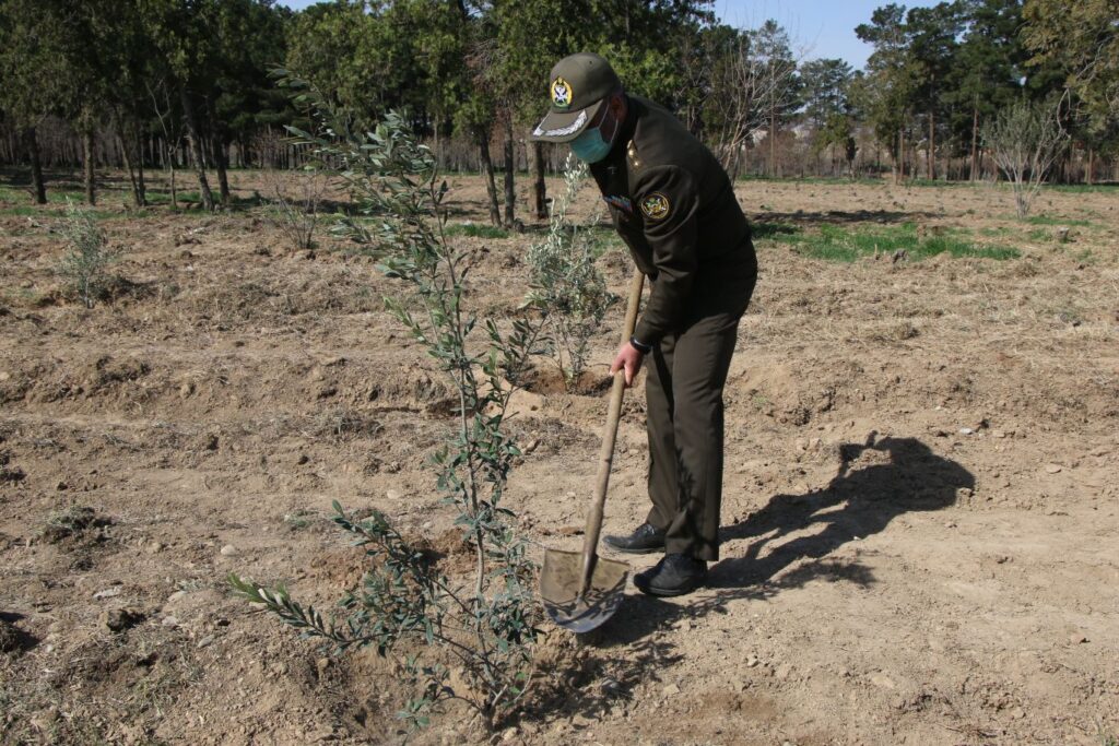 IMG 7205 compress9 | کاشت نهال توسط بخشدار و اعضای شورای تامین بخش کهریزک به مناسبت روز درختکاری