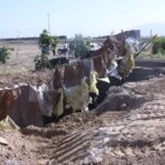 IMG 0645 compress99 | گزارش تصویری| تخریب ساخت‌وسازهای غیرمجاز روستای گلحصار