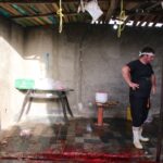 IMG 1640 compress17 | گزارش تصویری| جمع آوری و ساماندهی دام فروشان و کشتارهای غیرمجاز در بخش کهریزک