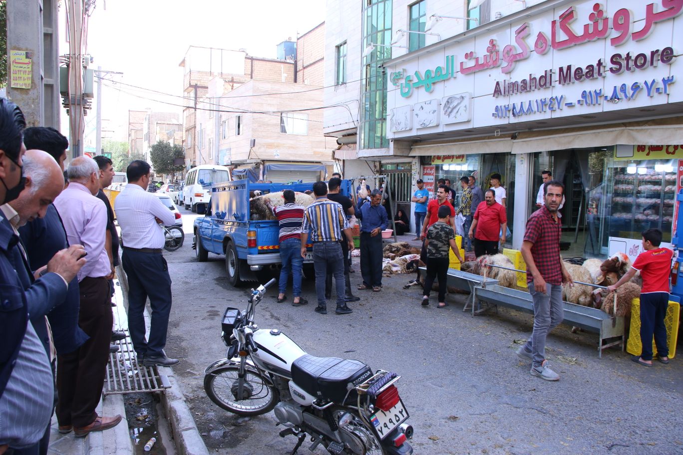 گزارش تصویری| جمع آوری و ساماندهی دام فروشان و کشتارهای غیرمجاز در بخش کهریزک