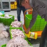 photo 2022 07 11 12 23 39 | کشف و امحاء ۳۰۰کیلو مرغ فاقد هویت فاسد شده در یکی از مراکز توزیع گوشت کهریزک
