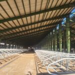 افتتاح سالن فری استال دامداری صابری