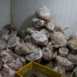 کشف حدود ۱ تن آلایش دامی در درسن آباد